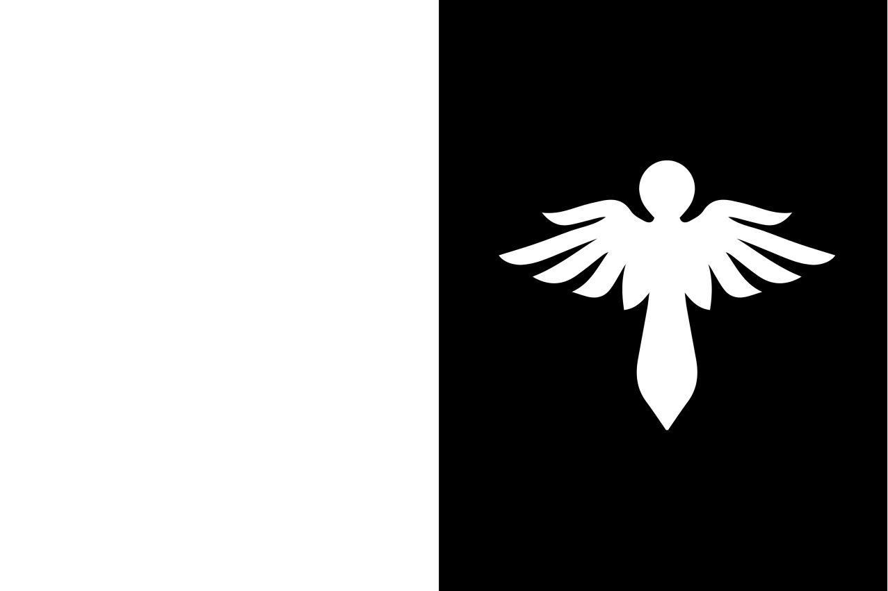 Flag of the Directorate of South Sokoria